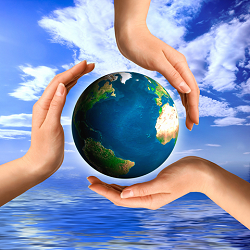 Ecologia e ambiente