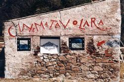 Festival del cinema di Tavolara