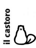 Il Castoro
