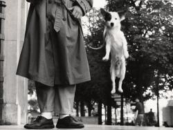 Elliot Erwitt: la retrospettiva del grande fotografo a Lucca fino al 30 agosto 2015
