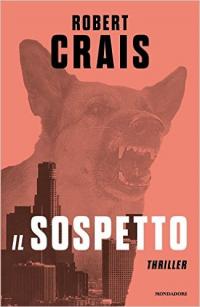 Il sospetto