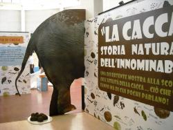 “La cacca: storia naturale dell’innominabile”