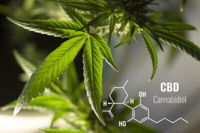 Libri sulla cannabis e sul CBD: i nostri suggerimenti
