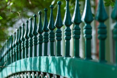 Cura del giardino: consigli e libri per le recinzioni
